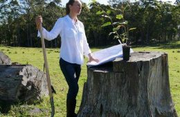 قبرستان طبیعی؛ طرح یک استرالیایی برای بازسازی جنگل‌ها