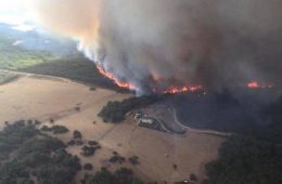 موج گرما در شهرهای استرالیا و خطر افزایش آتش‌سوزی‌های جنگلی