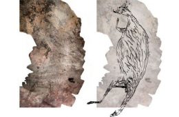 کشف قدیمی‌ترین سنگ نگاره استرالیا؛ تصویر ۱۷ هزار ساله یک کانگورو