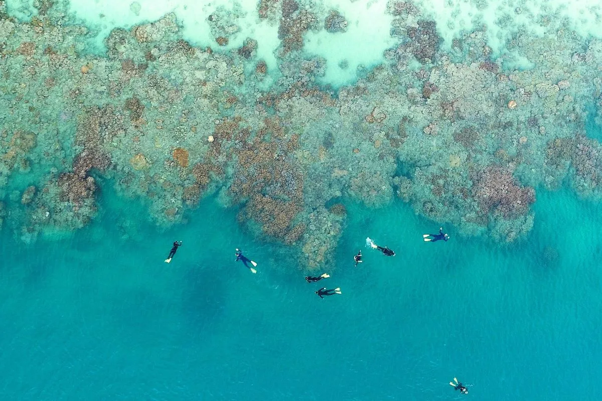 وایت هیون استرالیا، بهترین ساحل جهان در سال 2021 شد