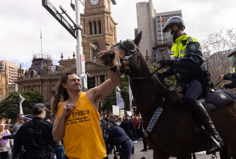 دستگیری دو مرد به جرم زدن به اسب‌های پلیس سیدنی