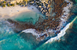 خلیج استوکس در کانگوروآیلند به عنوان بهترین ساحل استرالیا انتخاب شد