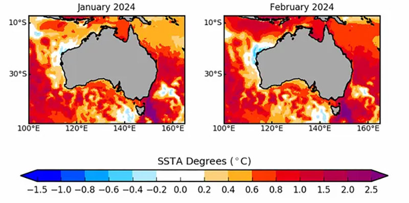 پیش‌بینی موج گرمایی مخرب در آب‌های جنوب‌شرقی استرالیا 