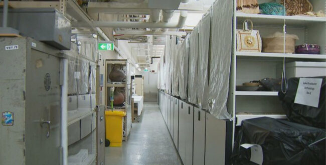 راز ترسناک موزه کوئینزلند؛ صدها بقایای انسانی در انبار موزه نگهداری می‌شوند