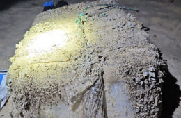 هشدار پلیس در پی کشف بسته‌های حاوی کوکائین در سواحل نیوساوت‌ولز