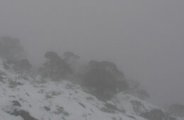 شروع عجیب تابستان در استرالیا؛ از برف تا گرمای ۳۷ درجه