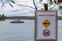 تقابل حیات‌وحش استرالیا و جان انسان‌ها؛ زنگ خطر حوادث مرگبار در طبیعت