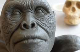 دانشمندان استرالیا وطن انسان اولیه را پیدا کردند