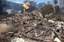 ۷۰ ساختمان در آتش سوزی جنوب “نیوسات ولز” از بین رفت