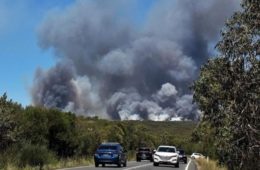 آتش سوزی در جنگل های سیدنی