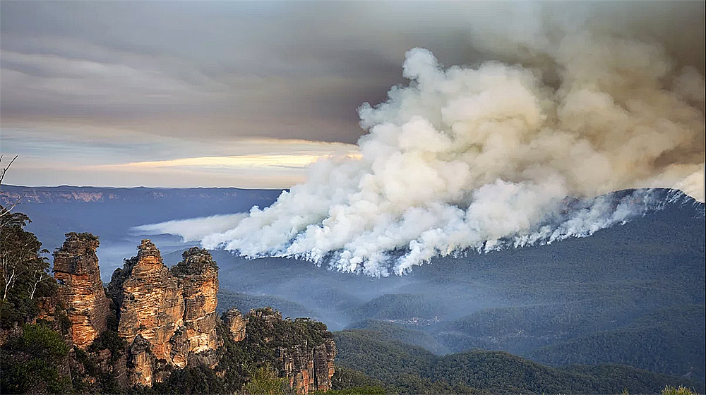 از بین رفتن 80 درصد بلومانتینز و 50 درصد گوندوانا در آتش سوزی‌های استرالیا