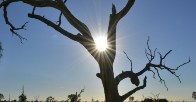 سومین سال گرم استرالیا به ثبت رسید
