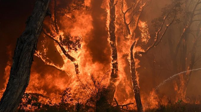 آتش‌سوزی‌های گسترده در بیشه‌های شمال شرقی استرالیا