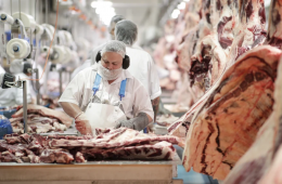 چین بخش عمده‌ای از واردات گوشت استرالیا را متوقف کرد