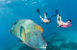 ووچر ۲۰۰ دلاری دولت کوئینزلند برای سفر به کنز و دیواره بزرگ مرجانی