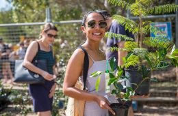 شهروندان نیوساوت ولز درخت رایگان می‌گیرند