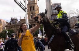 دستگیری دو مرد به جرم ضربه زدن به اسب‌های پلیس سیدنی