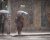 اداره هواشناسی اعلام کرد: پایان بارندگی‌ها با شروع زمستان در نیم‌کره جنوبی