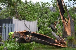 بادهای وحشی در ویکتوریا؛ برق ۹۰ هزار خانه قطع شد