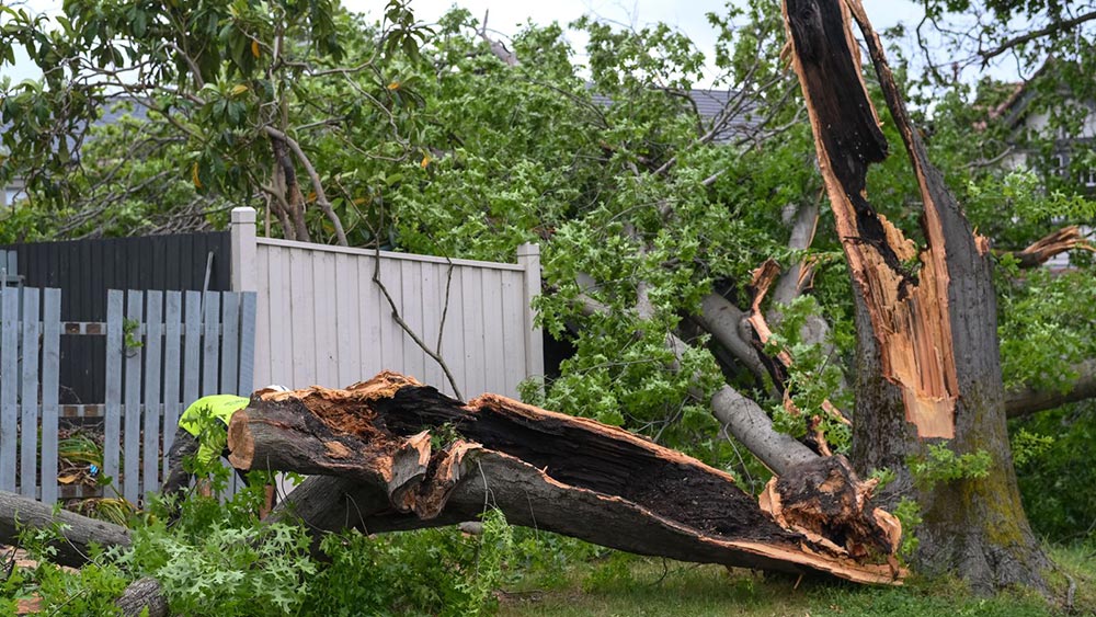 بادهای وحشی در ویکتوریا؛ برق 90 هزار خانه قطع شد