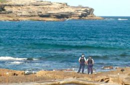 نخستین حمله مرگبار کوسه پس از ۶۰ سال؛ سواحل سیدنی تعطیل شد