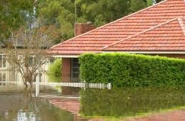 پر بارش‌ترین آغاز سال در تاریخ سیدنی؛ اداره هواشناسی: مردم امروز در خانه بمانند
