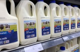 با شیر ۱٫۳ دلاری هم خداحافظی کنید؛ پیش‌بینی رشد قیمت فرآورده‌های لبنی در استرالیا