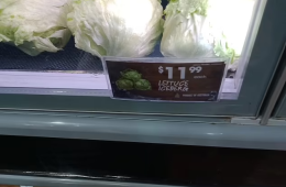 کلم به جای کاهو در کی‌اف‌سی؛ چه شد که قیمت کاهو به ۱۲ دلار رسید؟