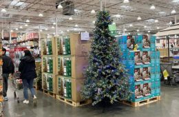 حالا کو تا سال نو؛ کاستکو استرالیا فروش درخت و تزیینات کریسمس را آغاز کرد