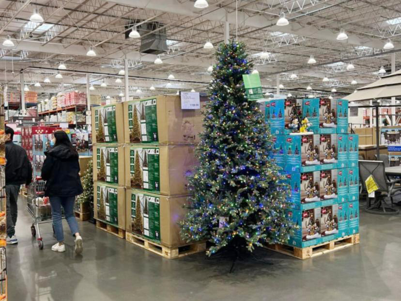 حالا کو تا سال نو؛ کاستکو استرالیا فروش درخت و تزیینات کریسمس را آغاز کرد