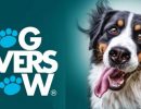نمایشگاه عاشقان سگ در ملبورن برگزار می‌شود