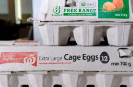 تولید بدون قفس قیمت هر بسته تخم‌مرغ را تا ۱۵ دلار بالا می‌برد