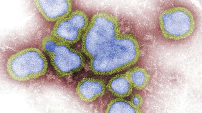 11 هزار مبتلا؛ فصل آنفلوانزا در نیوساوت‌ولز زودتر آغاز شد