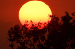 هشدار موج گرما برای بخش‌های گسترده‌ای از استرالیا؛ دما در برخی مناطق به ۴۰ درجه می‌رسد