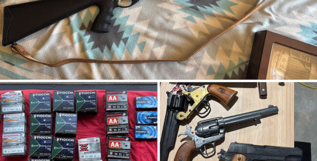 بازداشت جوان ۲۰ ساله به اتهام طراحی حمله تروریستی با تلفات گسترده در پرت