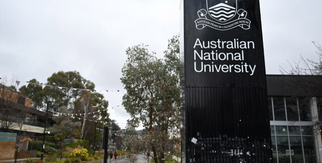 استرالیا در خطر تبدیل شدن به کشوری بیهنر؛ سقوط شدید ثبتنام در رشتههای خلاق