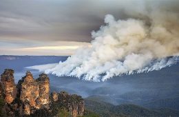 از بین رفتن ۸۰ درصد بلومانتینز و ۵۰ درصد گوندوانا در آتش سوزی‌های استرالیا