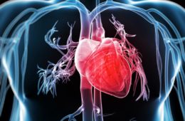 بیماریهای قلبی ۱۳ میلیون استرالیایی را تهدید می‌کند