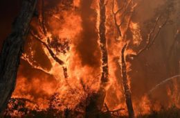 آتش‌سوزی‌های گسترده در بیشه‌های شمال شرقی استرالیا