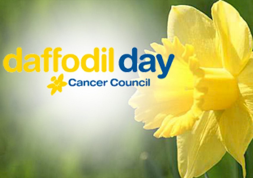 روز نرگس زرد روزی برای مبارزه با سرطان در استرالیا
