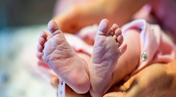 پائینترین نرخ زاد و ولد در استرالیا؛ برخی خانوادهها خلاف جریان حرکت میکنند